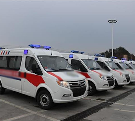 临高县服务车队展示